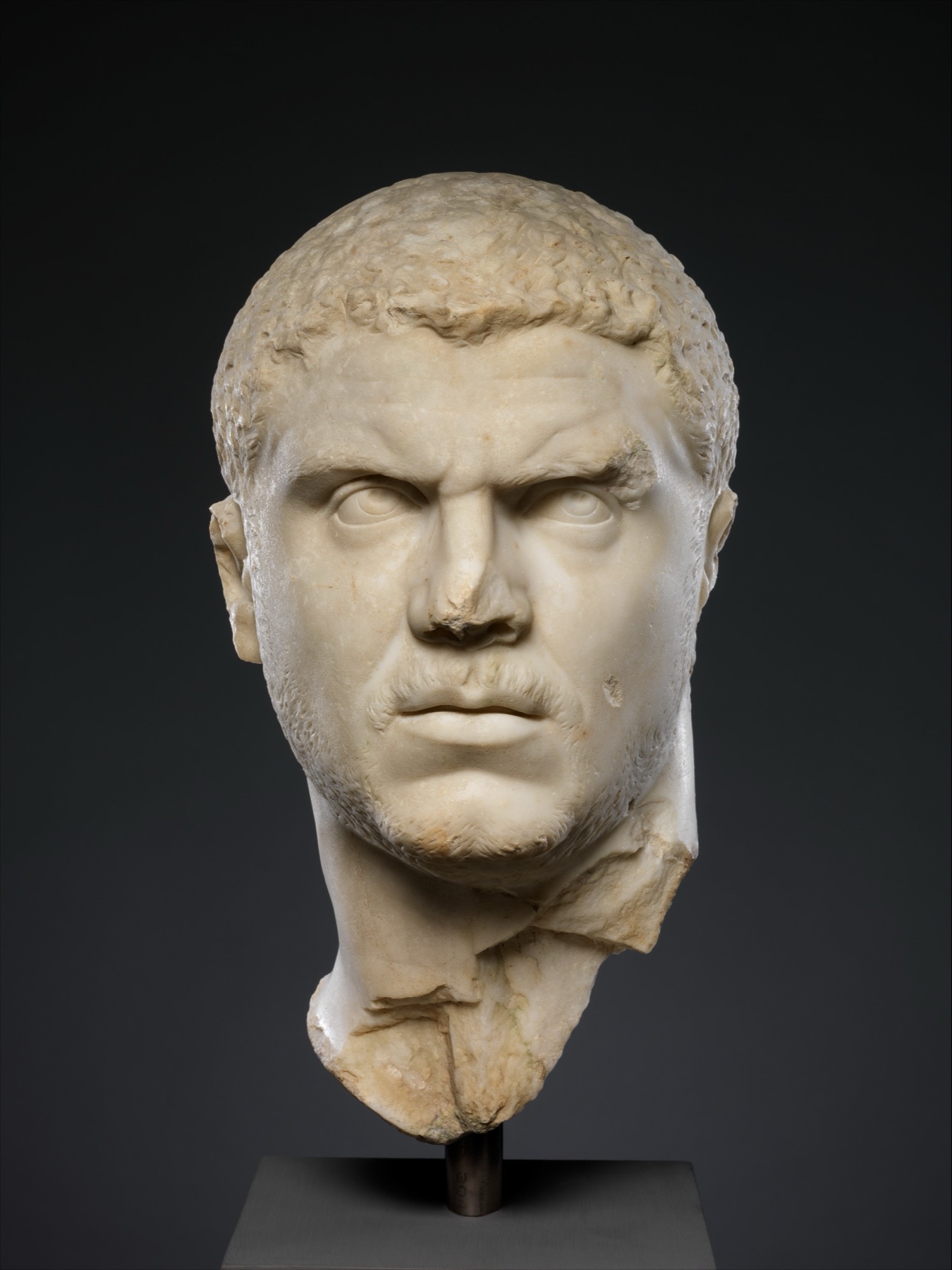 Marble portrait head of a man, under assessment